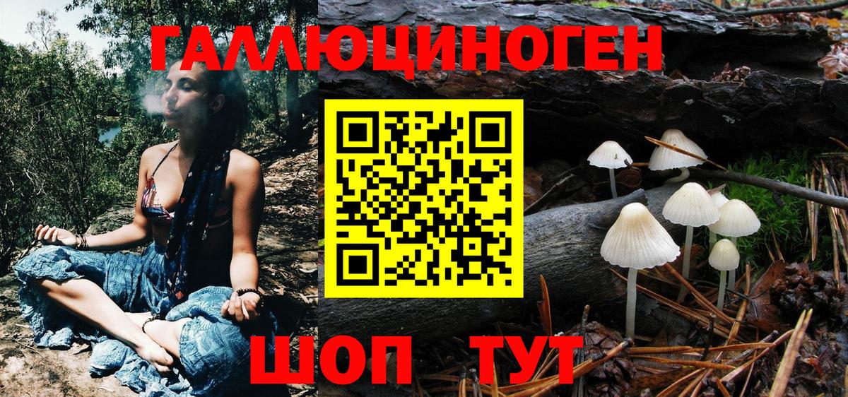 Карасук  Галлюциногенные грибы Magic Shrooms  закладка  Галлюциногенные грибы Psilocybe  Вход с VPN 